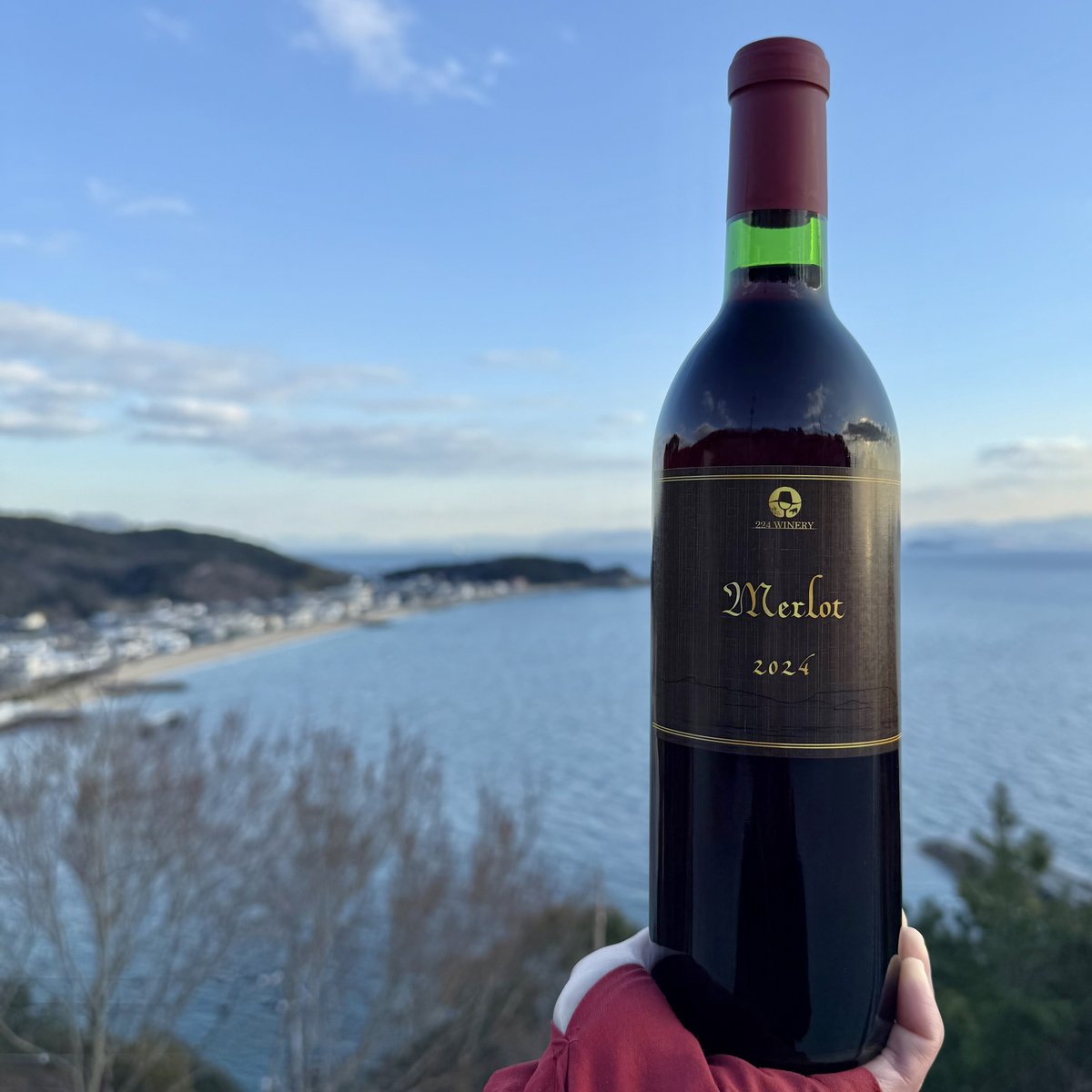 小豆島醸造 木樽熟成メルロー / Merlot 2024 | 224WINERY online