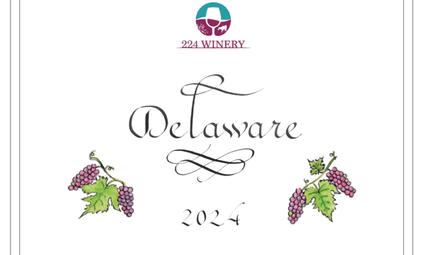 刻命 時雨さん専用【新品未使用】new-ushua3 　ワイン 刻命 時雨さん専用【新品未使用】new-ushua3 ワイン