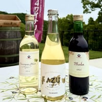 merlot様確認ページ スイス・ティッチーノ州名産・白メルロー】Castello di Morcote