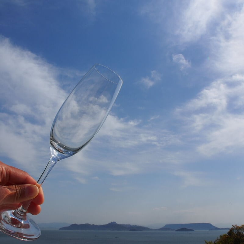 シャンパン carbon シャンパングラス2脚セットギフトボックス シャンパングラス2脚セット】Gift Box for Sparkling Wine | 22