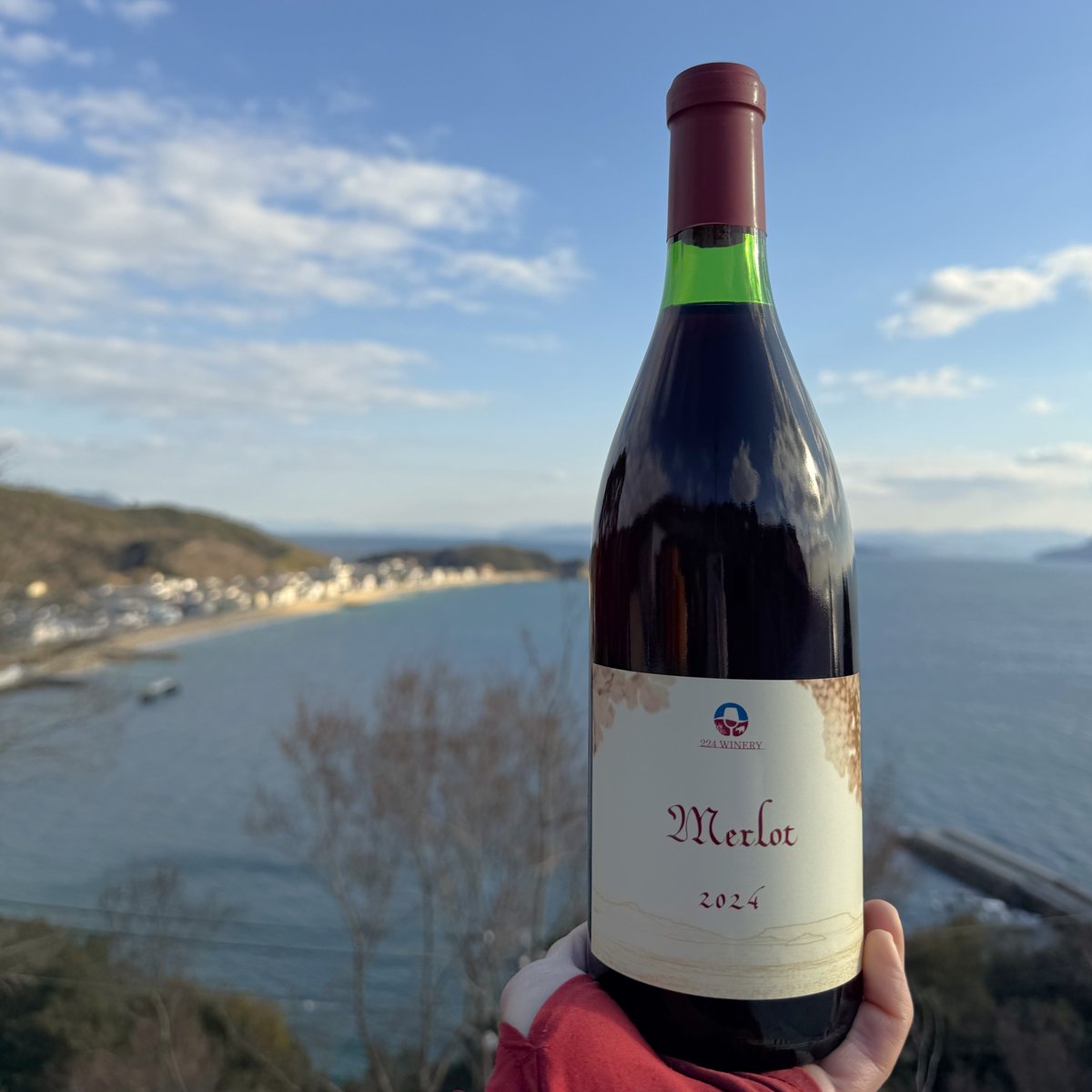 小豆島醸造メルロー / Merlot 2024 | 224WINERY online shop