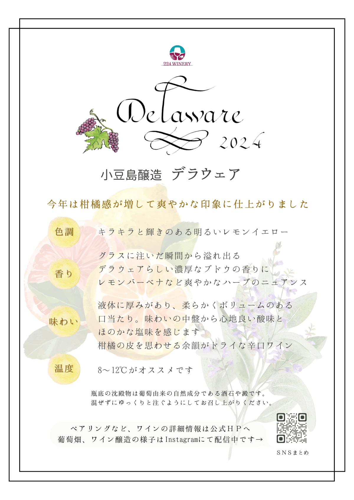 小豆島醸造デラウェア / Delaware 2024 | 224WINERY online shop