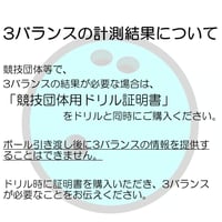 3バランスの計測結果について