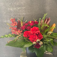 デザイナーズアレンジメント（カーネーション red）お祝い用