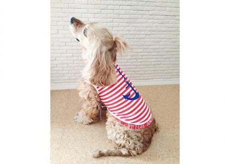 【犬服】マリンタンクトップ ♪