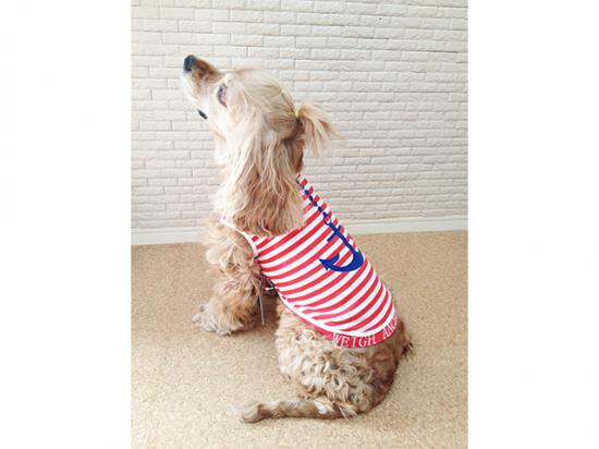 ⭐︎犬服⭐︎handmade タンクトップ 犬服】マリンタンクトップ ♪ | M's Diamond