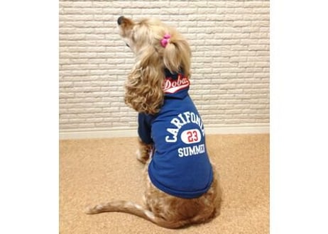 【犬服】ロゴフードのカリフォルニアパーカー