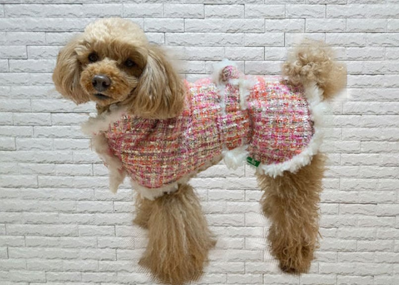 犬服】オリジナルツイードボアコート♪ | M 