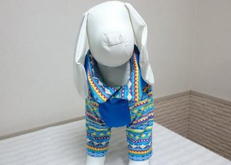【犬服】オリジナルラグランＴシャツ♪