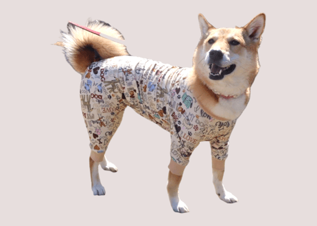犬服　ダイヤモンド　着物　ご確認 ITEM | M's Diamond