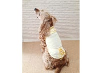【犬服】フリルチェックワンピース ♪