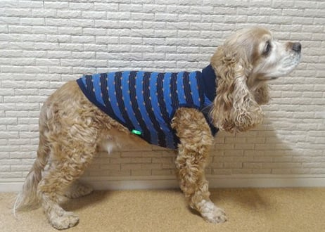 【犬服】涼し気なパンチングニット  ハイネックボーダータンクトップ♪