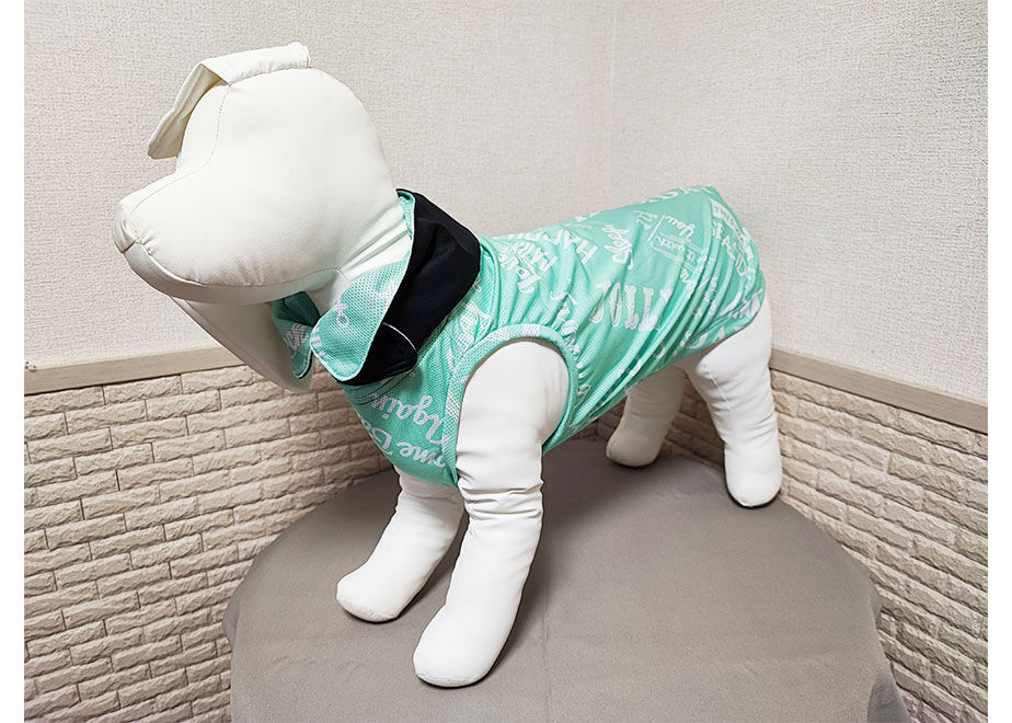 646ea15b2d6e83002a883e8f