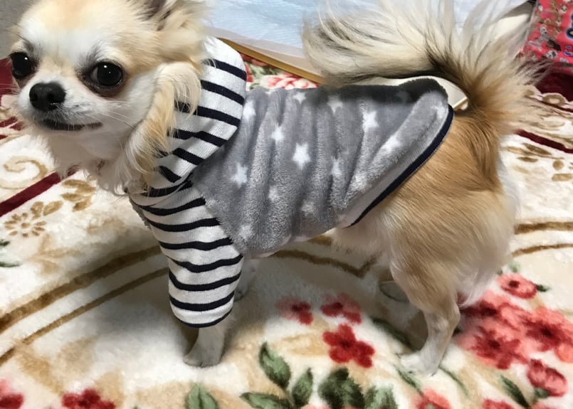 犬服】オリジナルボアパーカー♪ | M's Diamond