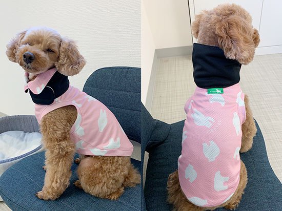 わんこフリースタンクトップ　ネイビーくま柄　３Ｓ〜Ｌ　オーダーページ わんこフリースタンクトップ ネイビーくま柄 3S〜L オーダー