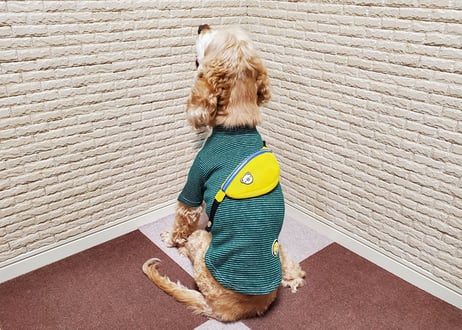 【犬服】ポシェット付きTシャツ♪