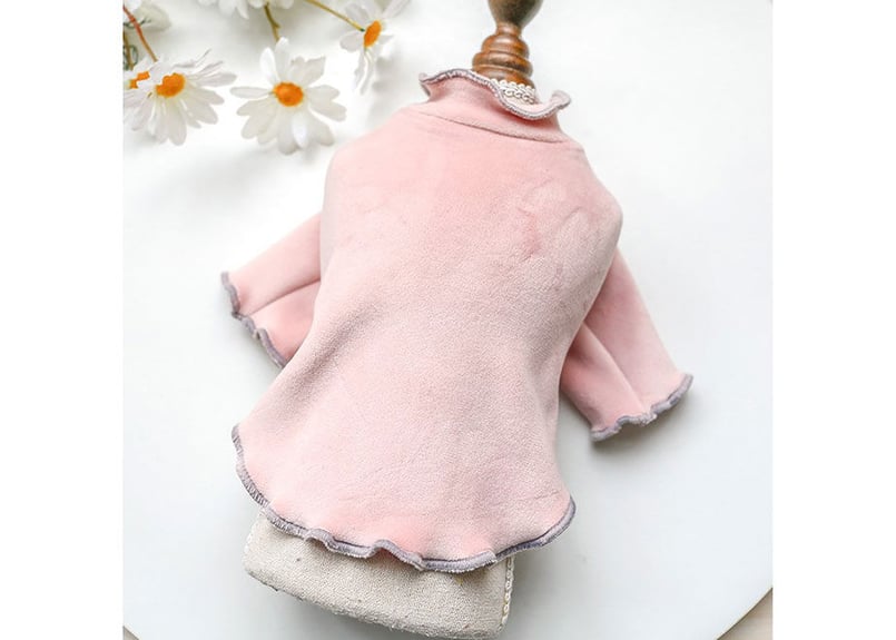 激レア フィフィアンドロメオ カシミヤ クリスマス｜犬服 カシミヤ