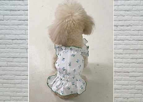 【犬服】フリルキャミソールワンピース♪