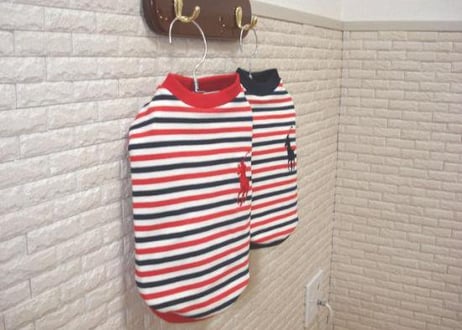 【犬服】ボーダーロゴTシャツ