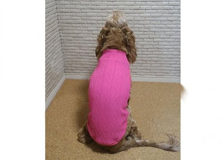 【犬服】オリジナルアラン模様ハイネックタンクトップ♪