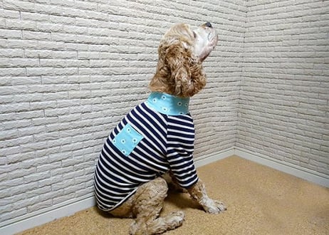 【犬服】花柄ハイネックボーダーラグランＴシャツ♪