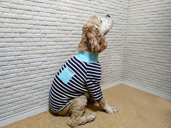 モモさま ハンドメイド♡フレブル服 ボーダーラグランT - 犬用品