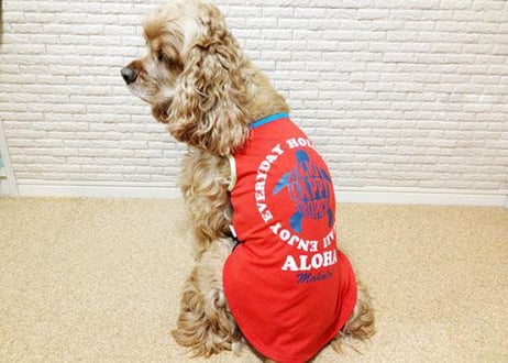 【犬服】アロハタンクトップ♪