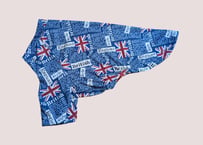 【W様ご注文の品】E・コッカー ラテ君用　ひんやりラグランTシャツ　Lサイズ