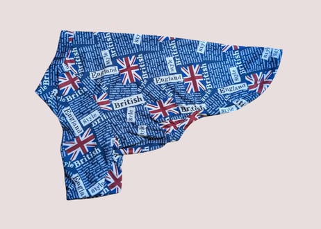 【W様ご注文の品】E・コッカー ラテ君用　ひんやりラグランTシャツ　Lサイズ