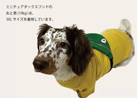 【犬服】ポシェット付きTシャツ♪