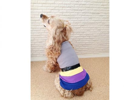 【犬服】シフォン素材のスカート♪タンクトップワンピース ♪
