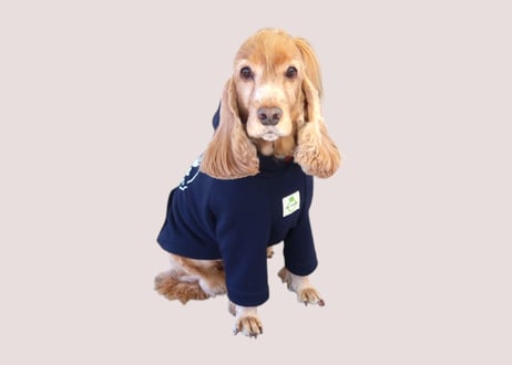 【犬服】オリジナルロゴパーカー