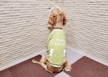 H様専用【犬服】ボアスタジャン♪