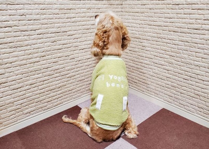 H様専用【犬服】ボアスタジャン♪ | M's Diamond