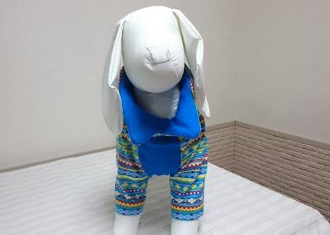 【犬服】オリジナルラグランＴシャツ♪