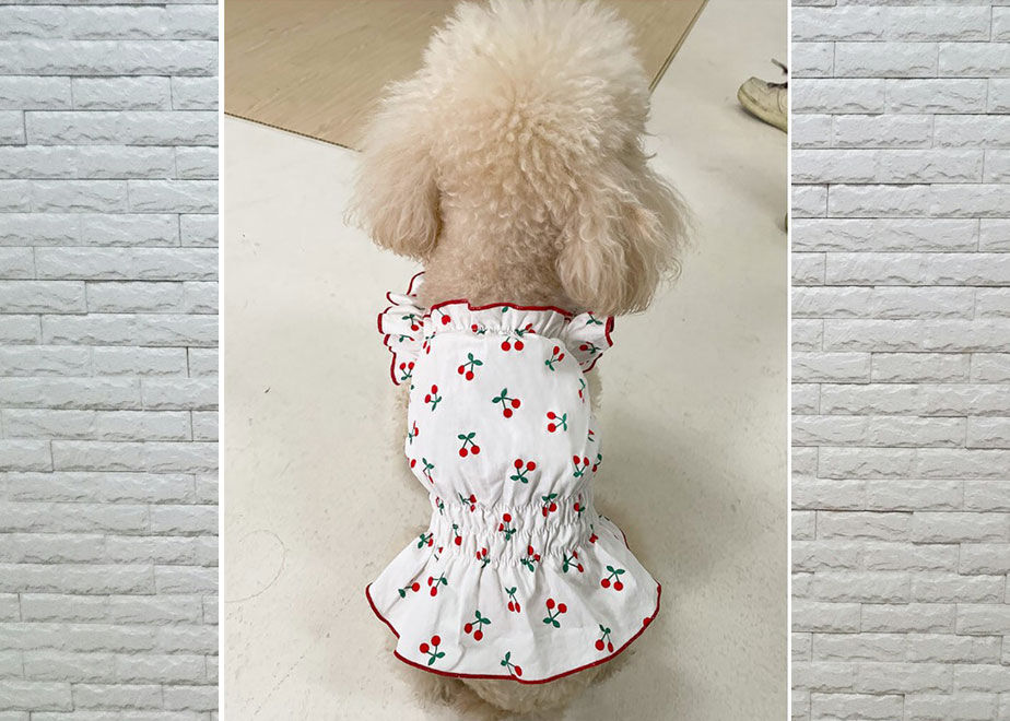 犬服 ハンドメイドキャミソールワンピース オーダー 再再販］ひまわりキャミソールワンピース-犬服- ペット服