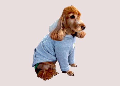 【犬服】オリジナルロゴパーカー