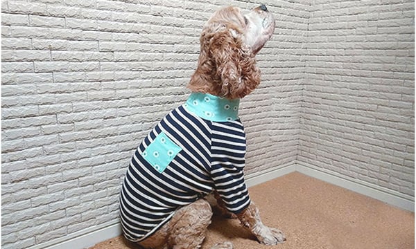 犬服・アクセサリー yusa 楽天市場】【8/20限定 P10倍】＼アウトレットセール開催中