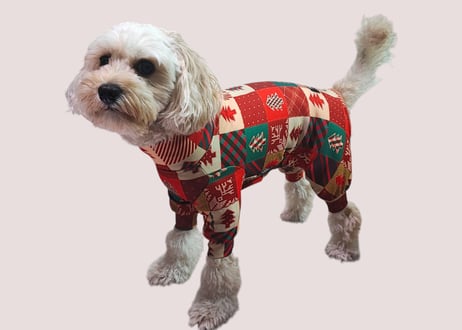 【犬服】ロンパース(クリスマス柄)