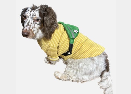 【犬服】ポシェット付きTシャツ♪