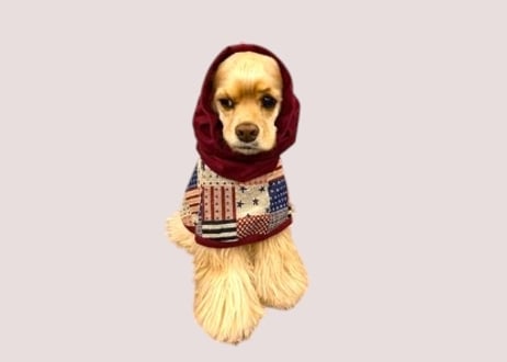 【犬服】ゴブラン織りアメリカン柄スヌード付きマント
