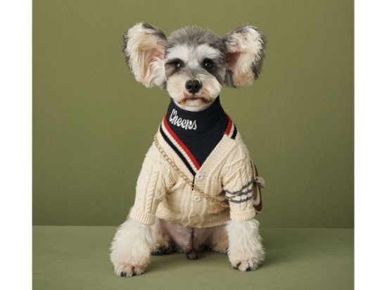 新品 DOG DEPT Gold Label アランニット カーディガン XL 新品 DOG DEPT Gold Label アランニット カーディガン XL fit