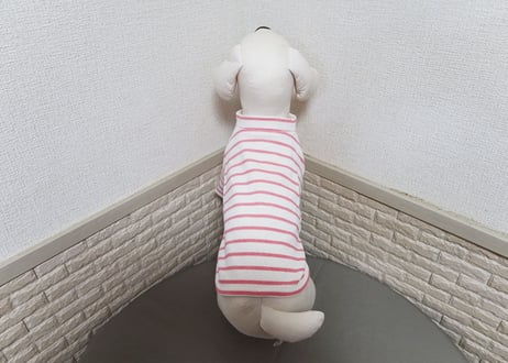 【犬服】ボーダーラグランＴシャツ♪