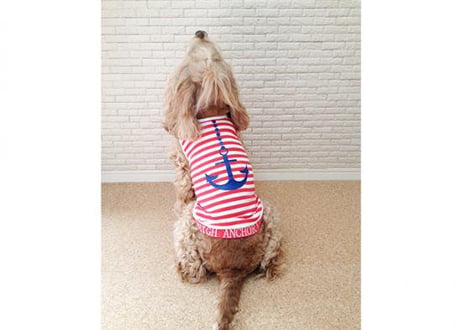 【犬服】マリンタンクトップ ♪