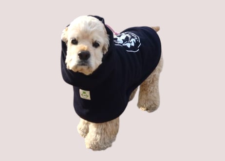 犬服　アメリカン　見本 ds-219_main.jpg