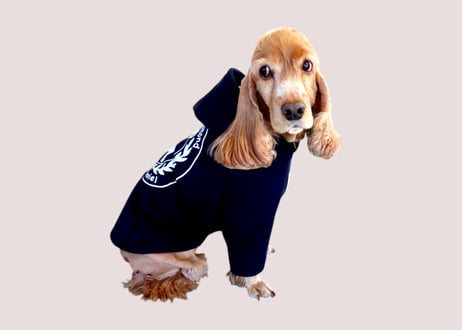 【犬服】オリジナルロゴパーカー