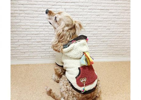【犬服】もこもこプードルファーパーカー♪