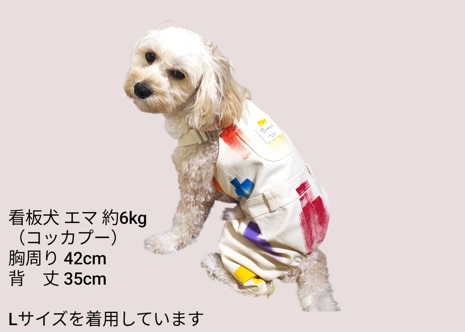 68d4ac4ef325fc393092861e