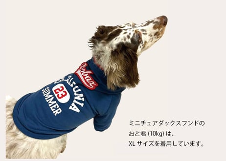 【犬服】ロゴフードのカリフォルニアパーカー