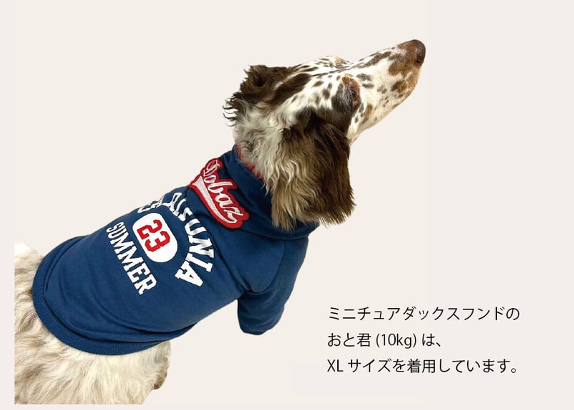 犬服】ロゴフードのカリフォルニアパーカー | M's Diamond